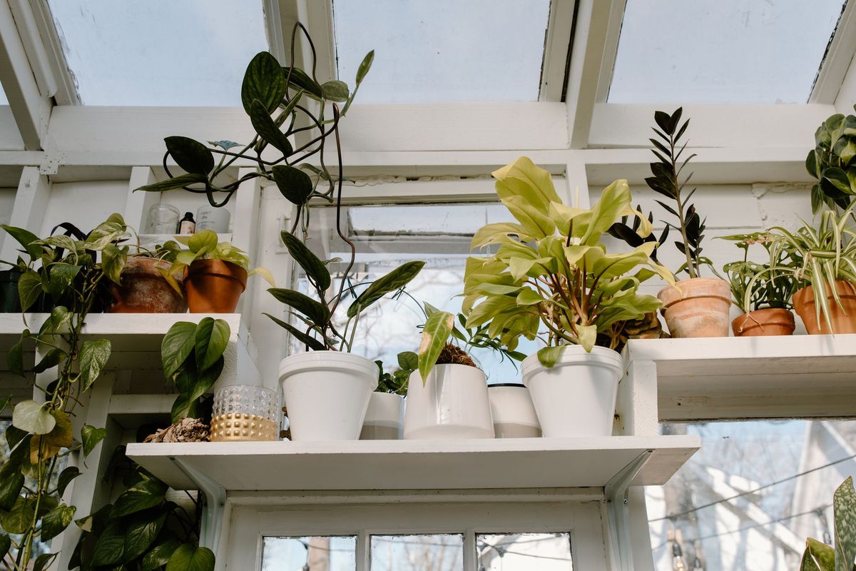 Seasonal Guide: Preparing Your Quiet Garden Room for British Winter